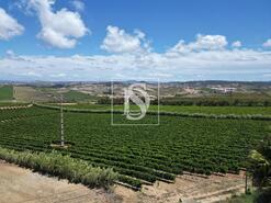 Moradia T4 - Encarna��o, Mafra, Lisboa - Miniatura: 18/28