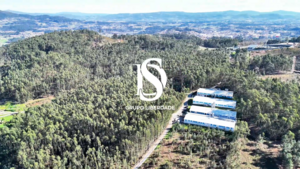 Terreno R�stico - Pico de Regalados, Vila Verde, Braga - Miniatura: 14/29