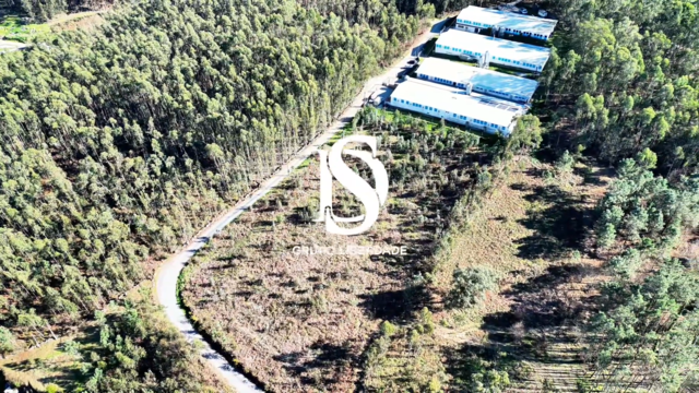 Terreno R�stico - Pico de Regalados, Vila Verde, Braga - Imagem grande