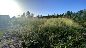 Terreno R�stico - Santo Tirso, Santo Tirso, Porto - Miniatura: 4/6