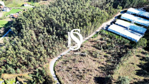 Terreno R�stico - Pico de Regalados, Vila Verde, Braga - Miniatura: 9/21