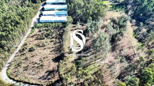 Terreno R�stico - Pico de Regalados, Vila Verde, Braga - Miniatura: 19/21