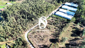 Terreno R�stico - Pico de Regalados, Vila Verde, Braga - Miniatura: 11/21