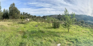 Terreno Urbano Não Definido - Santo Tirso, Santo Tirso, Porto - Miniatura: 2/6