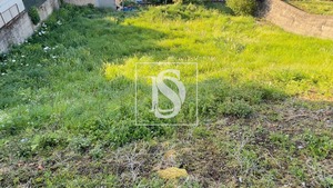 Terreno Rstico T0 - Santo Tirso, Santo Tirso, Porto - Miniatura: 6/6