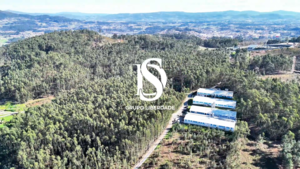 Terreno R�stico - Pico de Regalados, Vila Verde, Braga - Miniatura: 5/21