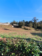 Terreno R�stico - CHORENTE, Barcelos, Braga - Miniatura: 7/44