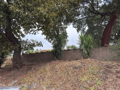 Terreno R�stico - S�o Vicente, Braga, Braga - Miniatura: 27/27