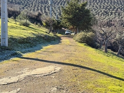 Quinta - Ligares, Freixo de Espada � Cinta, Bragan�a - Miniatura: 6/31