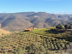 Quinta - Ligares, Freixo de Espada � Cinta, Bragan�a - Miniatura: 29/31