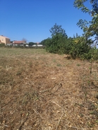 Terreno R�stico - Malveira, Mafra, Lisboa - Miniatura: 10/16