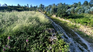 Terreno R�stico - Santo Tirso, Santo Tirso, Porto - Miniatura: 6/6