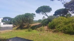 Terreno R�stico - Darque, Viana do Castelo, Viana do Castelo - Miniatura: 3/13