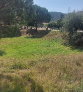 Terreno R�stico - Darque, Viana do Castelo, Viana do Castelo - Miniatura: 5/13
