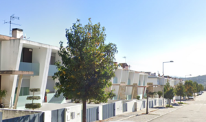 Terreno R�stico - Viatodos, Barcelos, Braga - Miniatura: 5/7