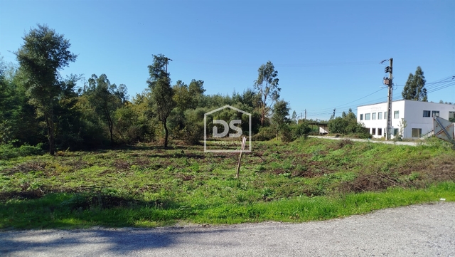 Terreno Rústico T0 - Ovoa, Santa Comba Dão, Viseu - Imagem grande