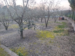 Terreno Urbano T0 - Currelos, Carregal do Sal, Viseu