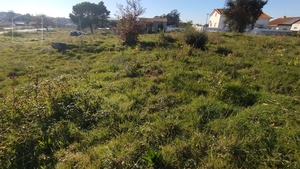 Terreno Urbano T0 - Currelos, Carregal do Sal, Viseu - Miniatura: 4/6