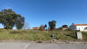 Terreno Urbano T0 - Currelos, Carregal do Sal, Viseu - Miniatura: 9/13