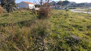 Terreno Urbano T0 - Currelos, Carregal do Sal, Viseu - Miniatura: 12/13