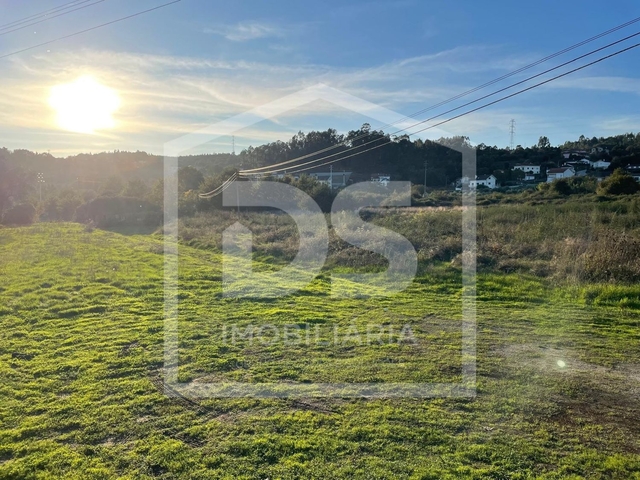 Terreno R�stico T0 - Couto de Baixo, Viseu, Viseu - Imagem grande
