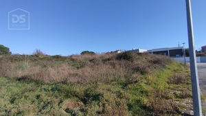 Terreno Urbano T0 - Currelos, Carregal do Sal, Viseu - Miniatura: 12/13