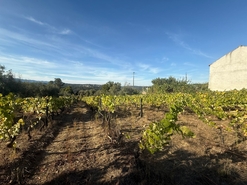 Terreno Urbano T0 - Silgueiros, Viseu, Viseu - Miniatura: 1/11