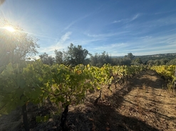 Terreno Urbano T0 - Silgueiros, Viseu, Viseu - Miniatura: 3/11