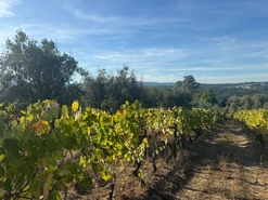 Terreno Urbano T0 - Silgueiros, Viseu, Viseu - Miniatura: 4/11