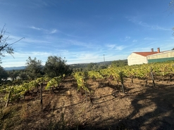 Terreno Urbano T0 - Silgueiros, Viseu, Viseu - Miniatura: 5/11