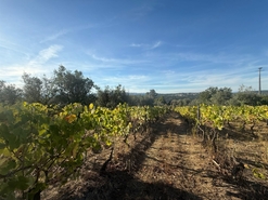 Terreno Urbano T0 - Silgueiros, Viseu, Viseu - Miniatura: 6/11