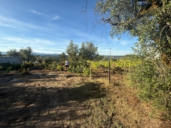 Terreno Urbano T0 - Silgueiros, Viseu, Viseu - Miniatura: 7/11