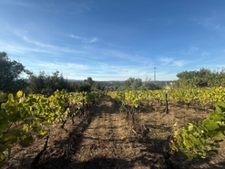 Terreno Urbano T0 - Silgueiros, Viseu, Viseu - Miniatura: 8/11