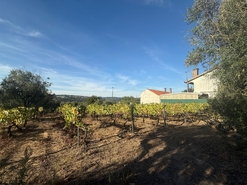 Terreno Urbano T0 - Silgueiros, Viseu, Viseu - Miniatura: 10/11