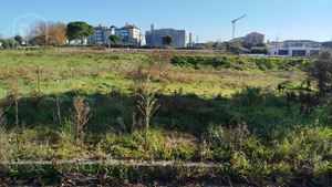 Terreno Urbano T0 - Currelos, Carregal do Sal, Viseu - Miniatura: 11/13