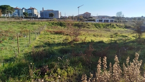 Terreno Urbano T0 - Currelos, Carregal do Sal, Viseu - Miniatura: 12/13