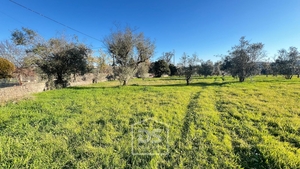 Terreno Urbano T0 - Mundão, Viseu, Viseu - Miniatura: 17/24