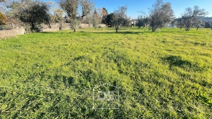 Terreno Urbano T0 - Mundão, Viseu, Viseu - Miniatura: 18/24