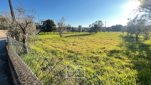 Terreno Urbano T0 - Mundão, Viseu, Viseu - Miniatura: 19/24