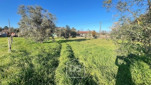 Terreno Urbano T0 - Mundão, Viseu, Viseu - Miniatura: 20/24