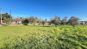 Terreno Urbano T0 - Mundão, Viseu, Viseu - Miniatura: 21/24