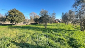 Terreno Urbano T0 - Mundão, Viseu, Viseu - Miniatura: 22/24