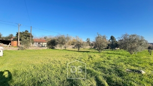 Terreno Urbano T0 - Mundão, Viseu, Viseu - Miniatura: 24/24