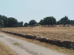 Terreno Urbano T0 - Cabanas de Viriato, Carregal do Sal, Viseu - Miniatura: 3/24