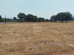 Terreno Urbano T0 - Cabanas de Viriato, Carregal do Sal, Viseu - Miniatura: 7/24