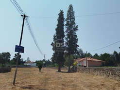 Terreno Urbano T0 - Cabanas de Viriato, Carregal do Sal, Viseu - Miniatura: 8/24