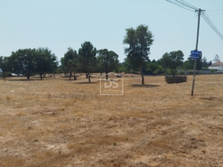 Terreno Urbano T0 - Cabanas de Viriato, Carregal do Sal, Viseu - Miniatura: 9/24