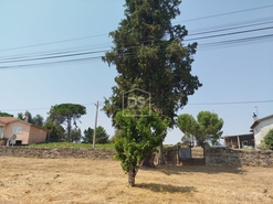 Terreno Urbano T0 - Cabanas de Viriato, Carregal do Sal, Viseu - Miniatura: 10/24