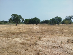 Terreno Urbano T0 - Cabanas de Viriato, Carregal do Sal, Viseu - Miniatura: 13/24