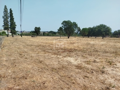 Terreno Urbano T0 - Cabanas de Viriato, Carregal do Sal, Viseu - Miniatura: 14/24